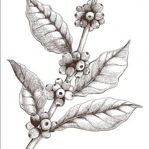 Meet your Posher, Frances k.